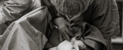 fotografi Tolentino